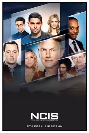 Season 17 poster