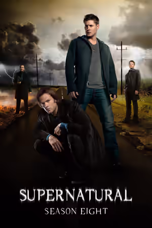 Season 8 poster