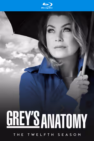 Season 12 poster