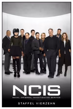 Season 14 poster
