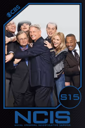 Season 15 poster