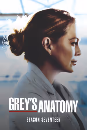 Season 17 poster