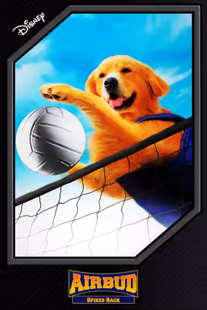 Air Bud: Spikes Back poster