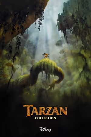 Tarzan (Animation) Collection poster