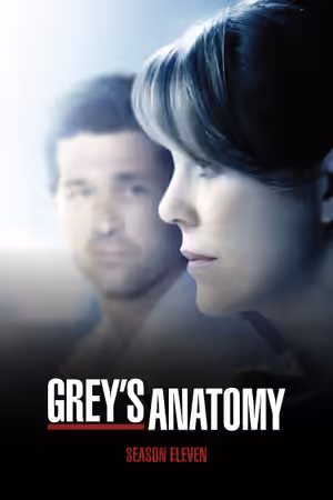 Season 11 poster
