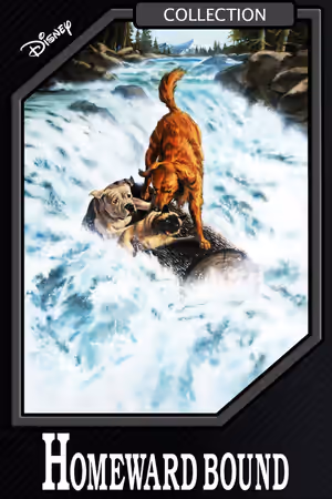 Homeward Bound Collection poster