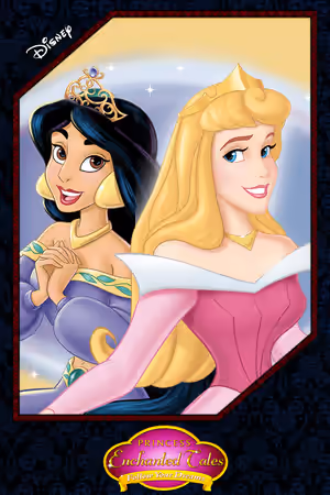 Disney Princess Enchanted Tales: Follow Your Dreams (2007) Set poster