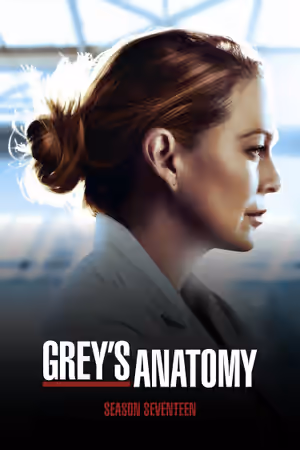 Season 17 poster