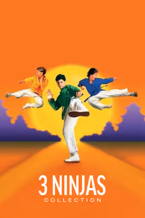 3 Ninjas Collection poster