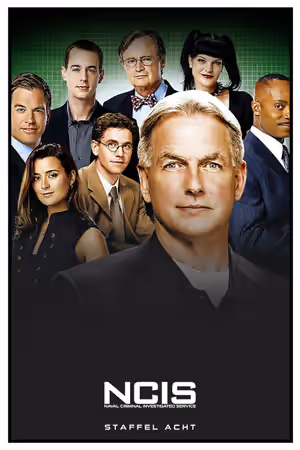 Season 8 poster