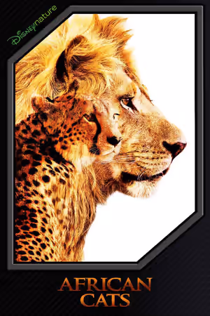 African Cats (2011) Set poster