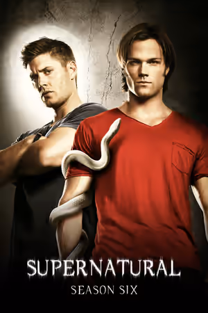 Season 6 poster