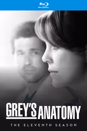 Season 11 poster