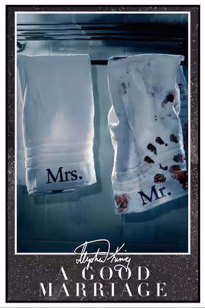 A Good Marriage (2014) poster