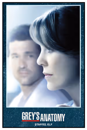 Season 11 poster