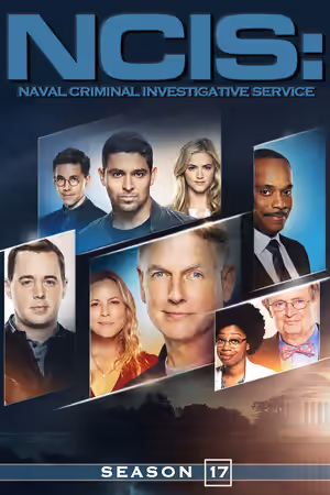 Season 17 poster