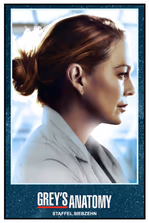 Season 17 poster