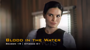 Season 19 titlecard