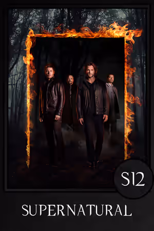Season 12 poster