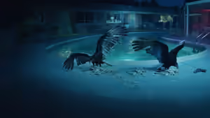 Ozark (2017) Set backdrop