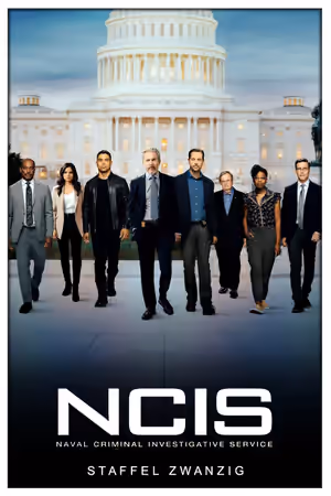 Season 20 poster
