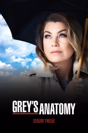 Season 12 poster