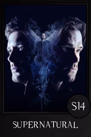 Season 14 poster