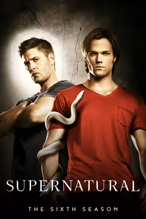 Season 6 poster