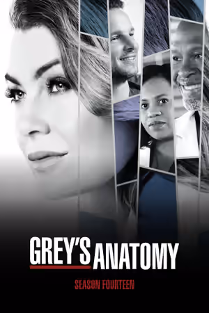 Season 14 poster