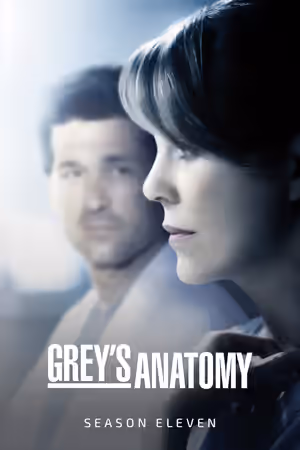 Season 11 poster