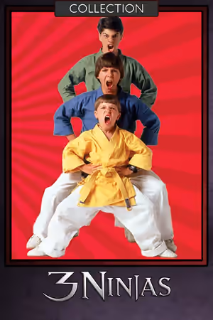 3 Ninja Kids Collection poster