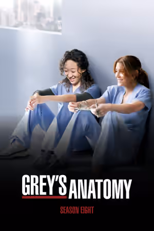 Season 8 poster
