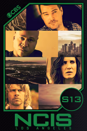 Season 13 poster