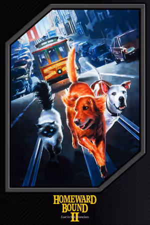 Homeward Bound II: Lost in San Francisco poster