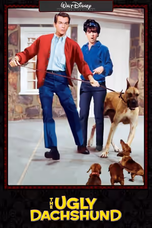 The Ugly Dachshund (1966) Set poster