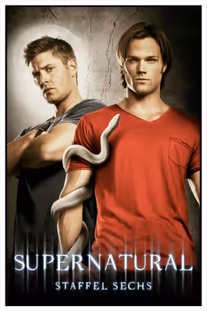 Season 6 poster