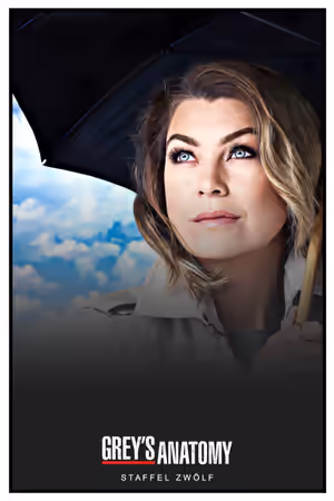 Season 12 poster