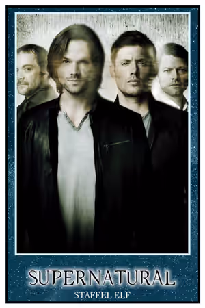 Season 11 poster