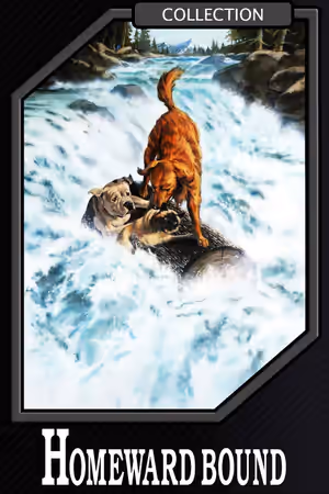 Homeward Bound Collection poster