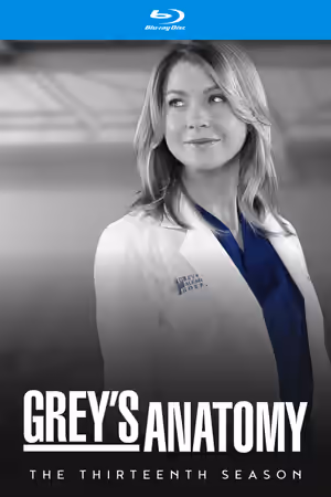 Season 13 poster