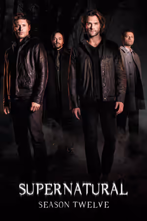 Season 12 poster