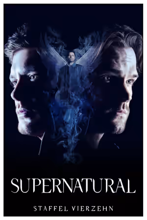 Season 14 poster