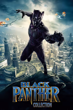 Black Panther Collection poster