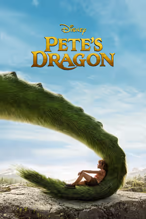 Perfect Plex Posters poster