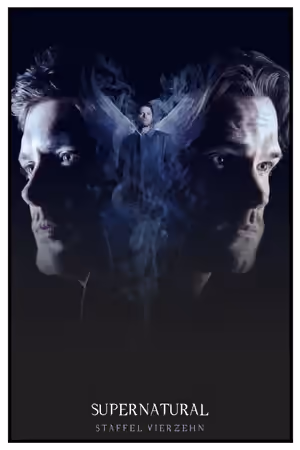 Season 14 poster