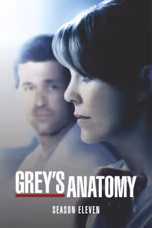 Season 11 poster