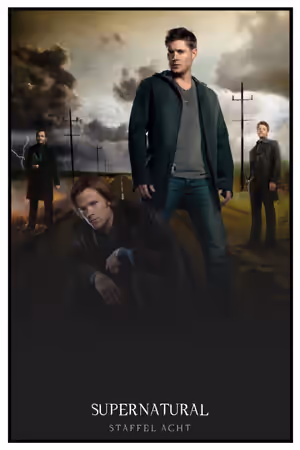 Season 8 poster