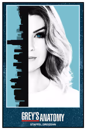 Season 13 poster