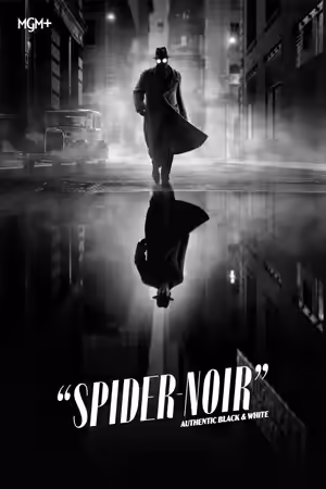 Spider-Noir (2026) - Authentic Black & White poster