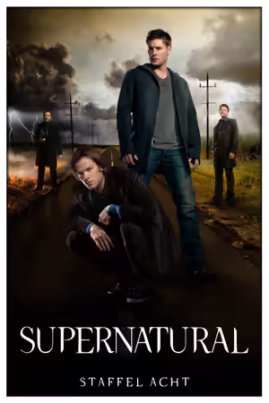 Season 8 poster